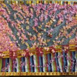 35　千年桜